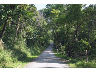 Tract 31 - Timberland & Farmland in Noble County, OH - LAND AUCTION - 12,200+/- ACRES OFFERED IN 65 TRACTS IN NOBLE COUNTY, OHIO